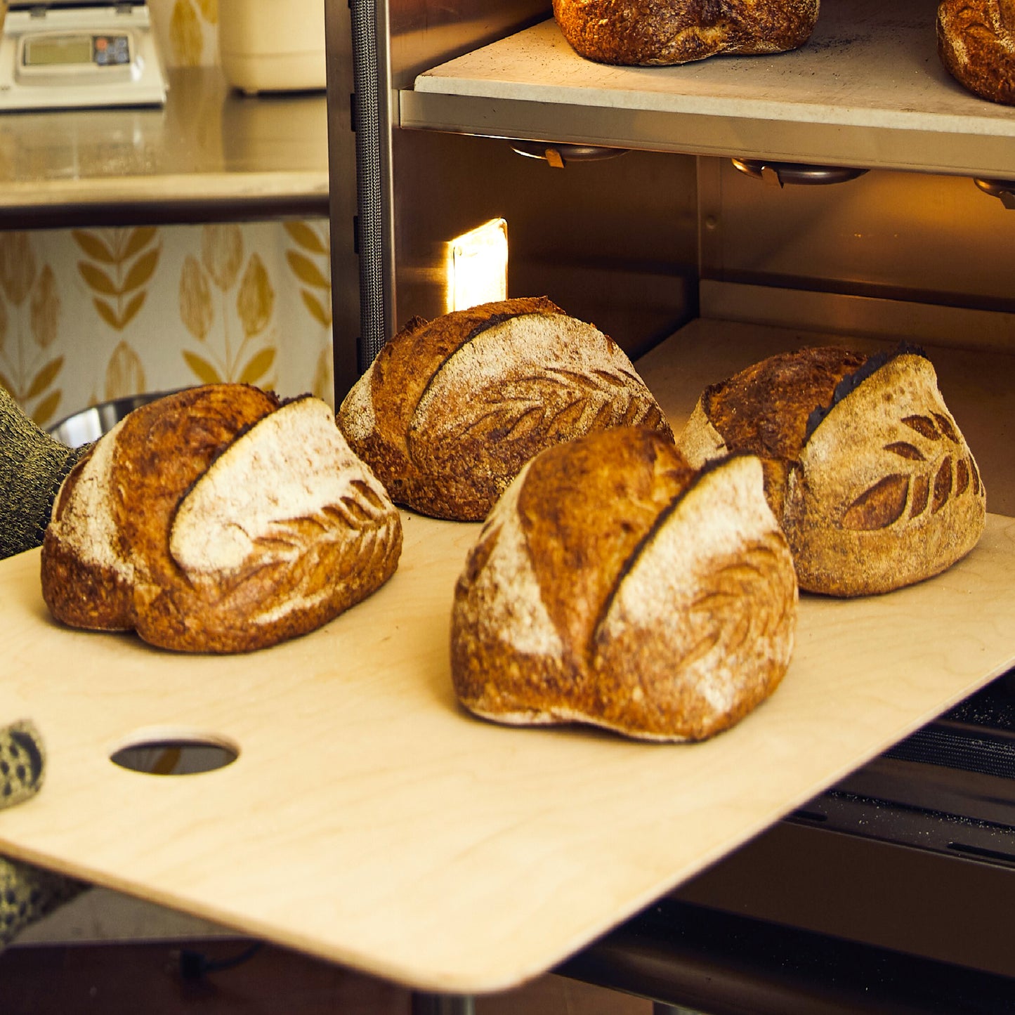 Simply Bread Accessory Bundle - Essential